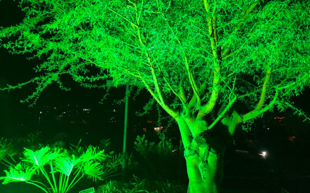 Iluminação profissional
